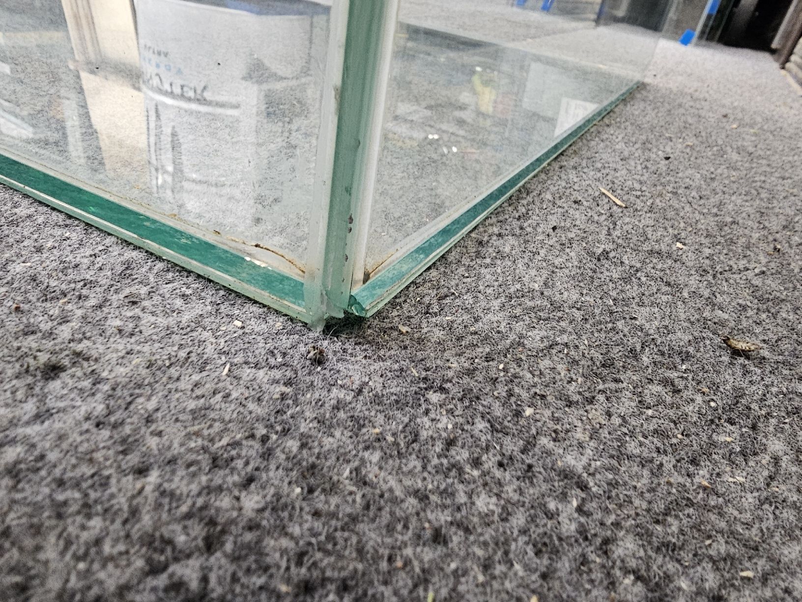 Terrario: Nager Terrarium – Usato da Malters venduto da King1901 5