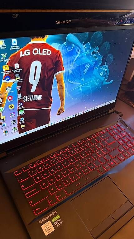 MSI PC: Ordi portable - MSI GL75 Leopard 10SFR – Usato da Villeneuve VD venduto da dub_m8nj 1