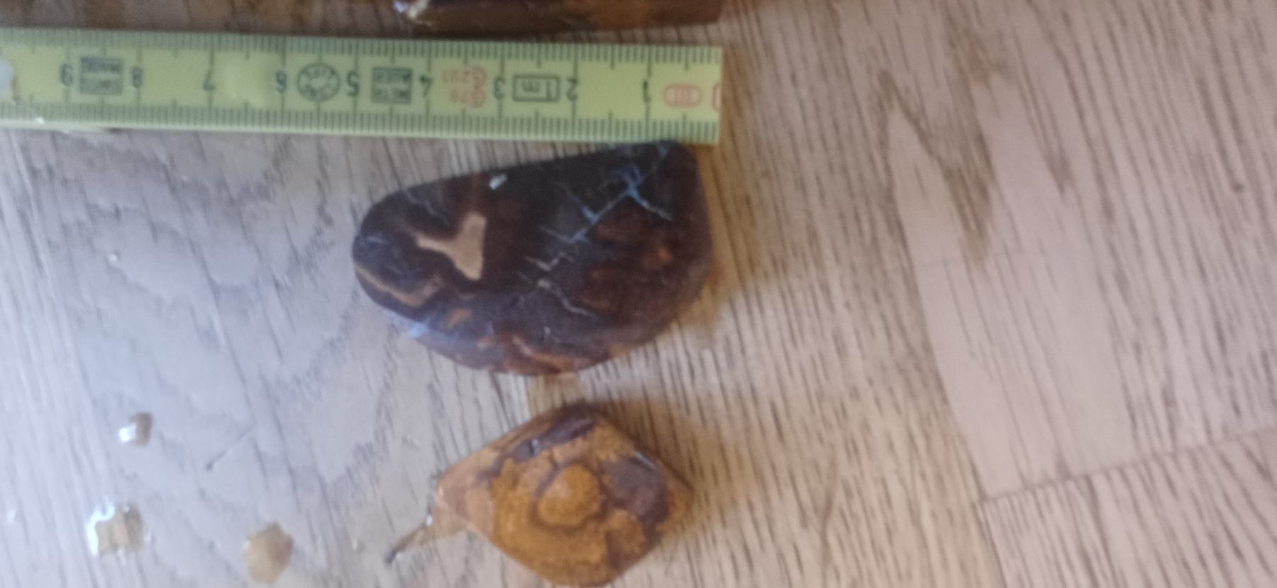 Pietre preziose: 4 Bolder Opale  – Usato da Flawil venduto da Naphtali 3
