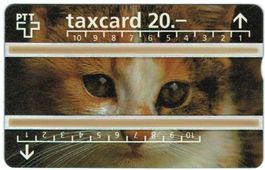 Taxcard P-55 (S055b) Katze 625C ungebraucht