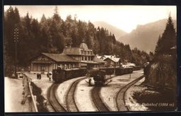 Brünig, Bahnhof im Winter aus der Vogel