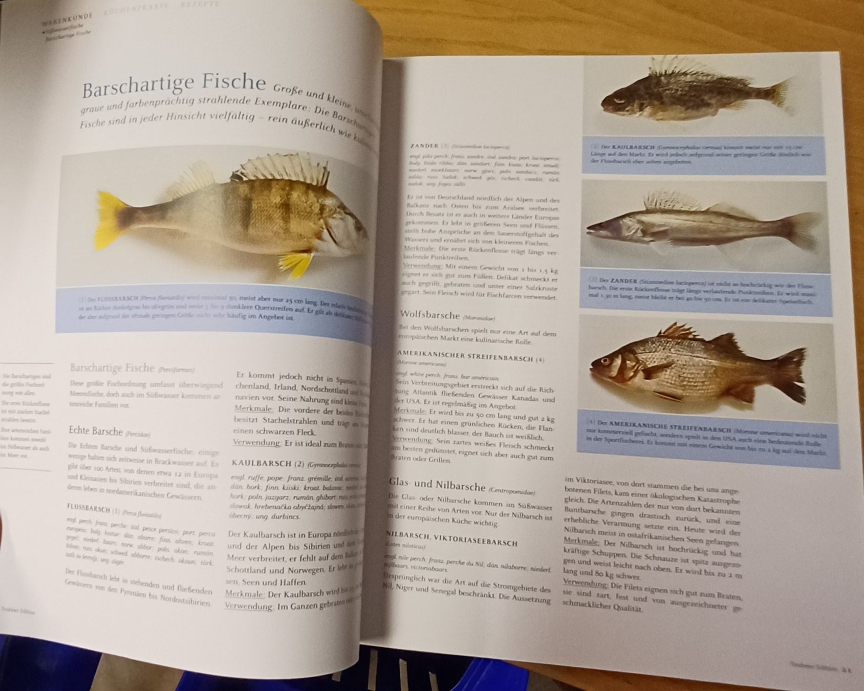 Libri: Das grosse Buch vom Fisch – Usato da Merenschwand venduto da Brockinell 2