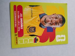 Panini Fussball ECU 8