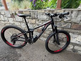 Vendo E-Bike Merida eOne-Twenty 800