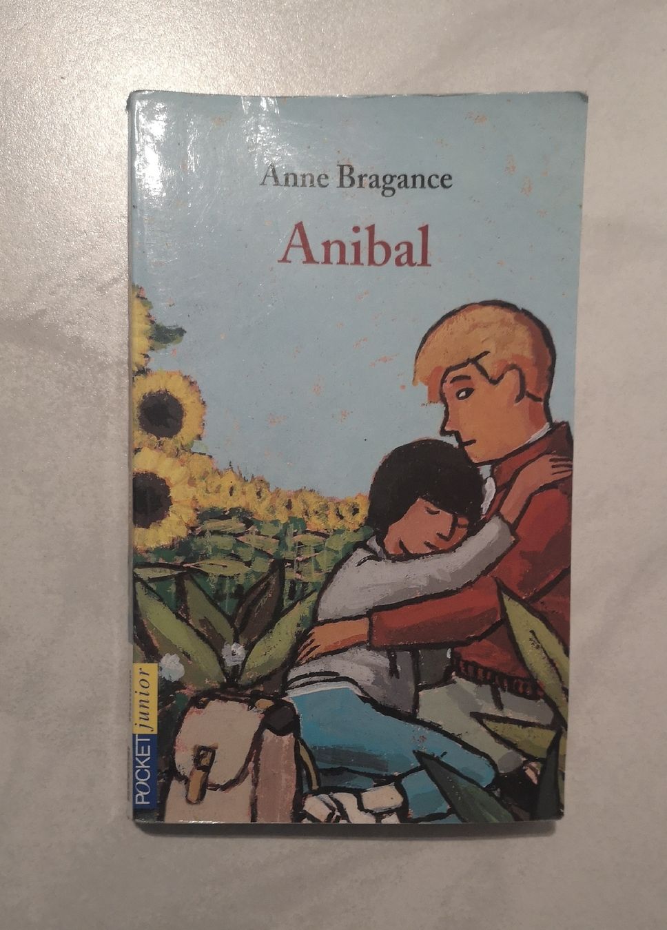 Libri: Buch "Anibal" – Usato da Sissach venduto da cor_n2dt