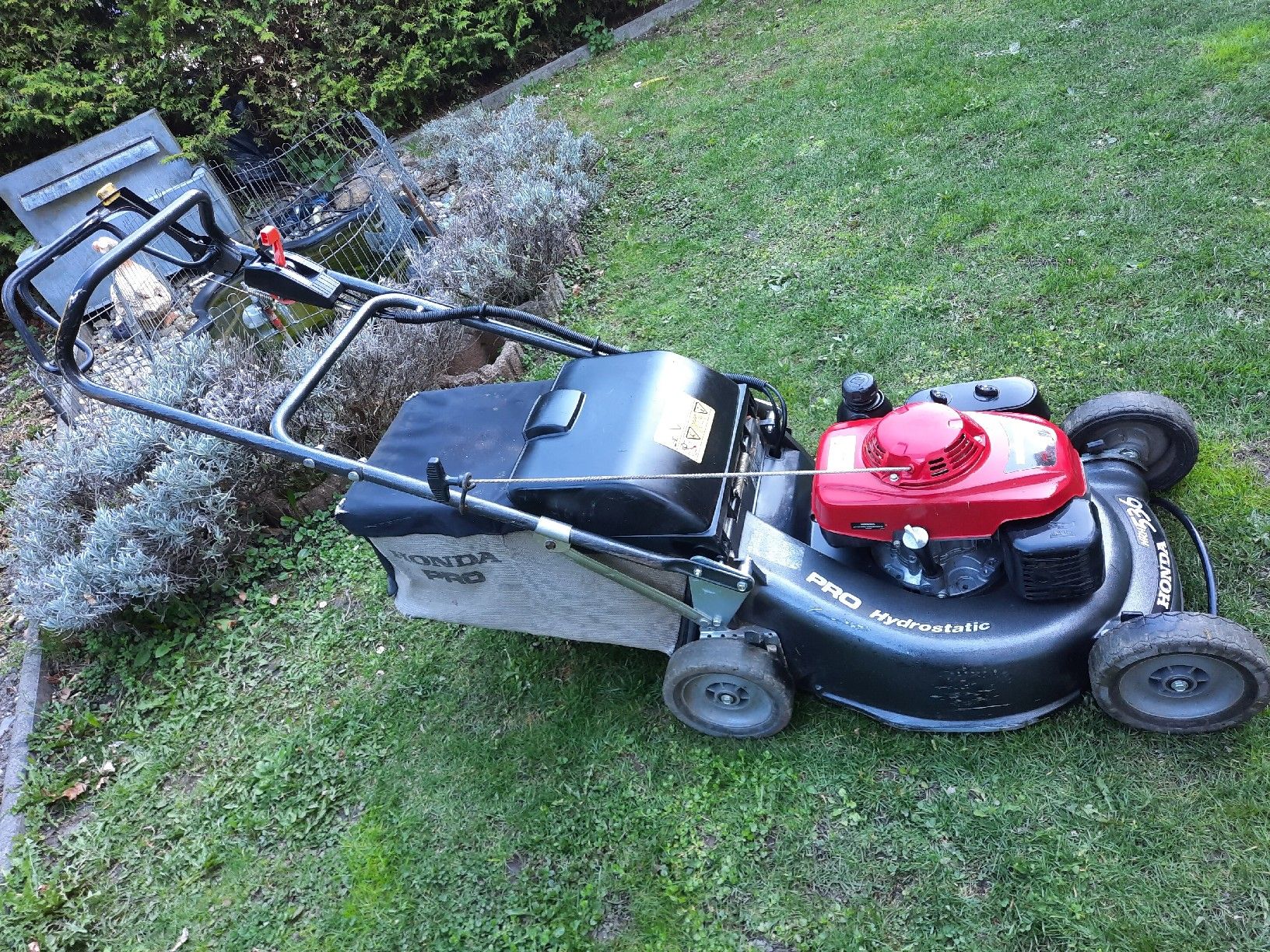 Honda Rasenmäher: Honda Rasenmäher HRH 536 HX  Hydrostatic – Gebraucht aus Seewis-Schmitten von  1