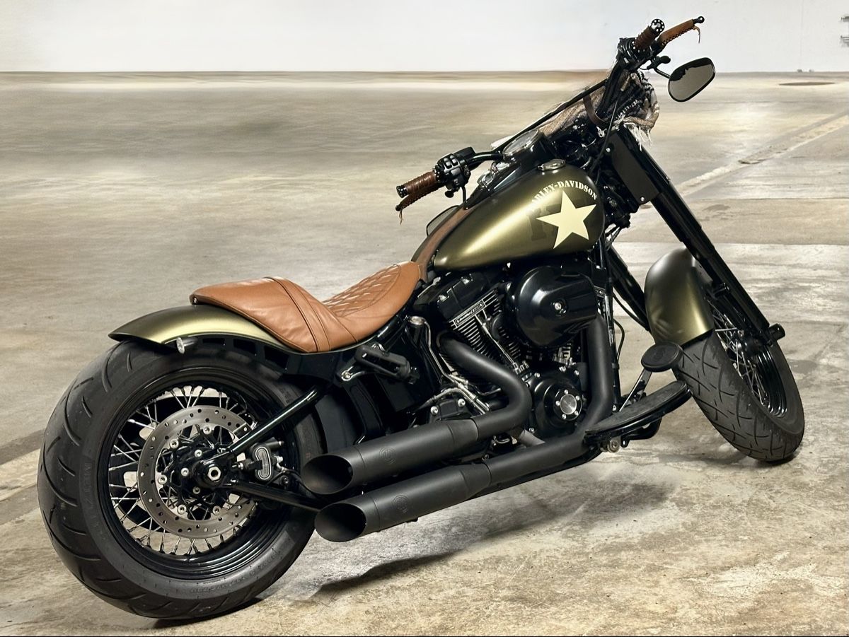 Harley-Davidson Chopper: Harley Davidson FLSS Softail custom – Usato da Rolle venduto da misterarti 1