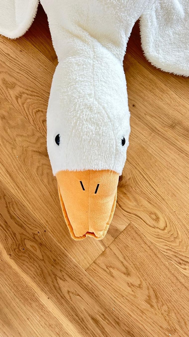 Jouets: Plüschtier Gans 160cm – D'occasion à Winterthur par fad_2rny 2