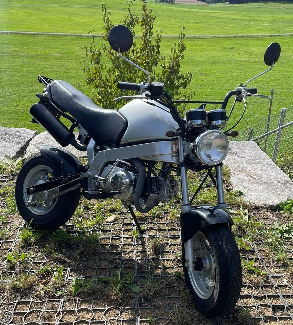 Skyteam Mini Bikes: Skyteam Quick Foot 50 (PBR) – Gebraucht aus Hausen am Albis von 74happy75