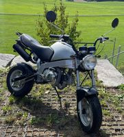 Skyteam Quick Foot 50 (PBR)