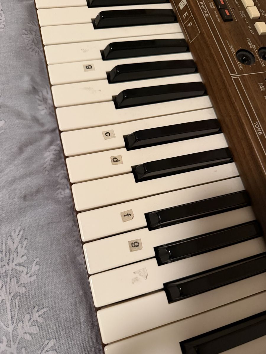 Casio Strumenti musicali: Casiotone 405 vintage Orgel – Usato da Basel venduto da schaeryo 3