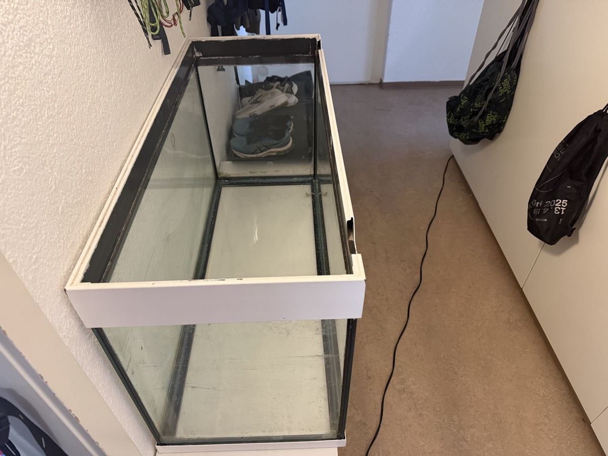 Aquarium: Aquarium – Gebraucht aus Horgen von yvesseinet 1
