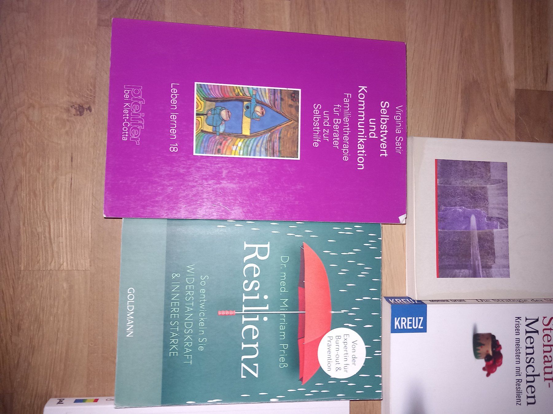 Libri: 5 Bücher Resilienz, etc – Usato da Maschwanden venduto da summernight7 1