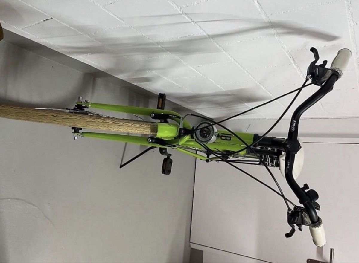 Biciclette: Damen Velo – Usato da Rothrist venduto da ste_by5v 1