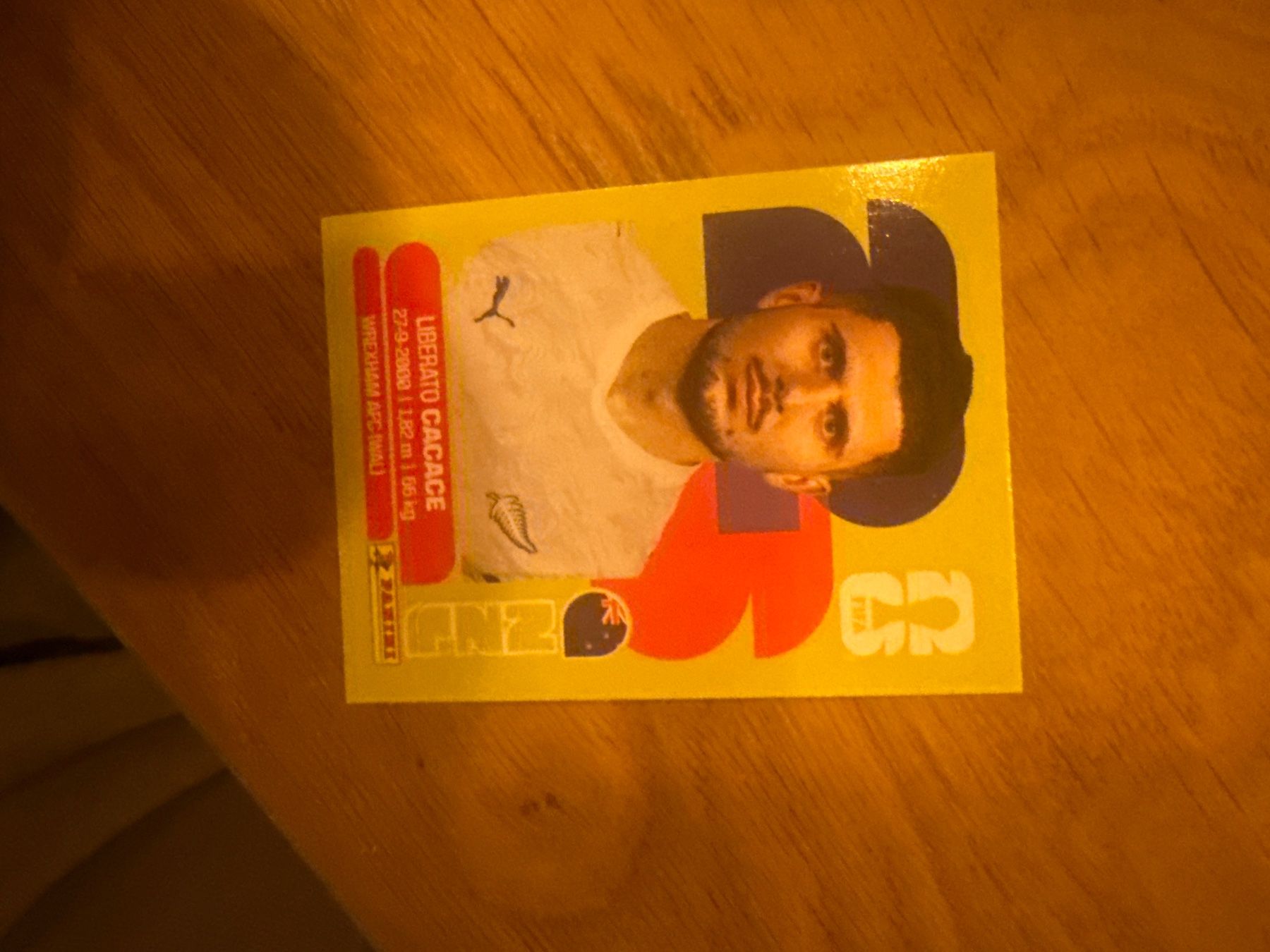 Panini Carte collezionabili: Panini – Usato da Langnau i. E. venduto da Acrjl
