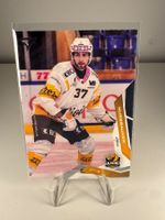 240 Arno Nussbaumer HC Ajoie HC SportZoo 2025/26