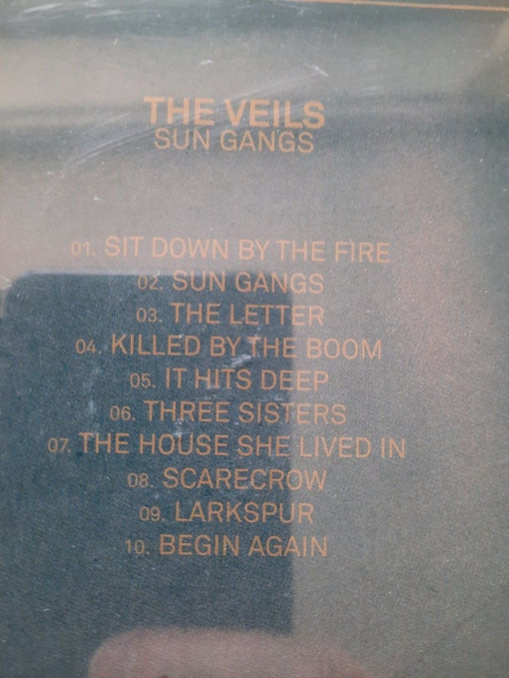 CDs: CD The Veils - Sun Gangs – Gebraucht aus Pully von bro_n52j 3