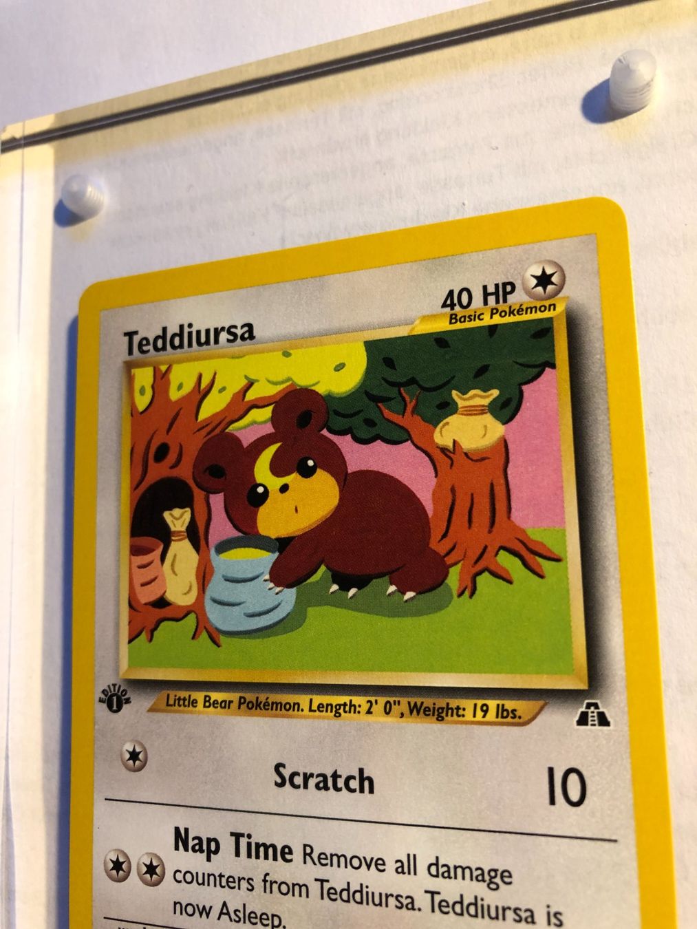 Sammelbilder & Trading cards: Teddiursa 1st Neo Discovery - MINT - ab 1.- – Gebraucht aus Giubiasco von dan_pr8b 3
