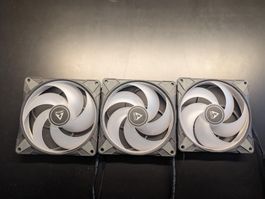 3x Arctic P14 A-RGB 140 mm PWM mit LED