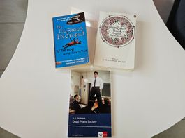 Bücherpaket aus dem Gymerunterricht (Literatur Englisch)