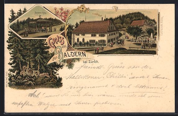 Cartoline postali: Litho Stallikon, Baldern-Höhe mit Gastw – Usato da Berlin venduto da bartko-reher