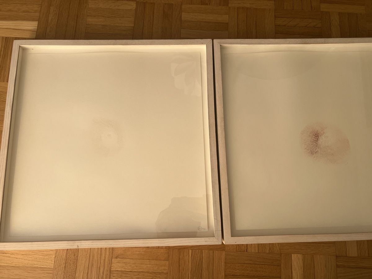 Dipinti: Brigid Polk Tits Paunting original – Usato da Zürich venduto da jao_2bx7 4