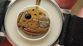 Uhrwerk ETA 902.002