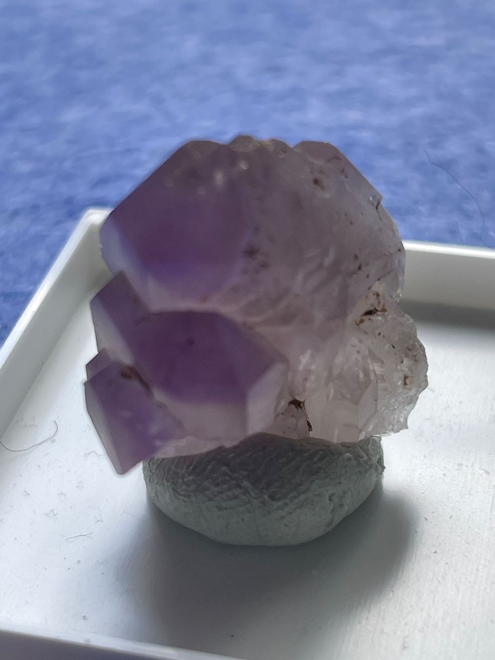 Minerali & Pietre curative: Amethyst Binntal CH – Nuovo (secondo la descrizione) da Winkel venduto da cma_df88