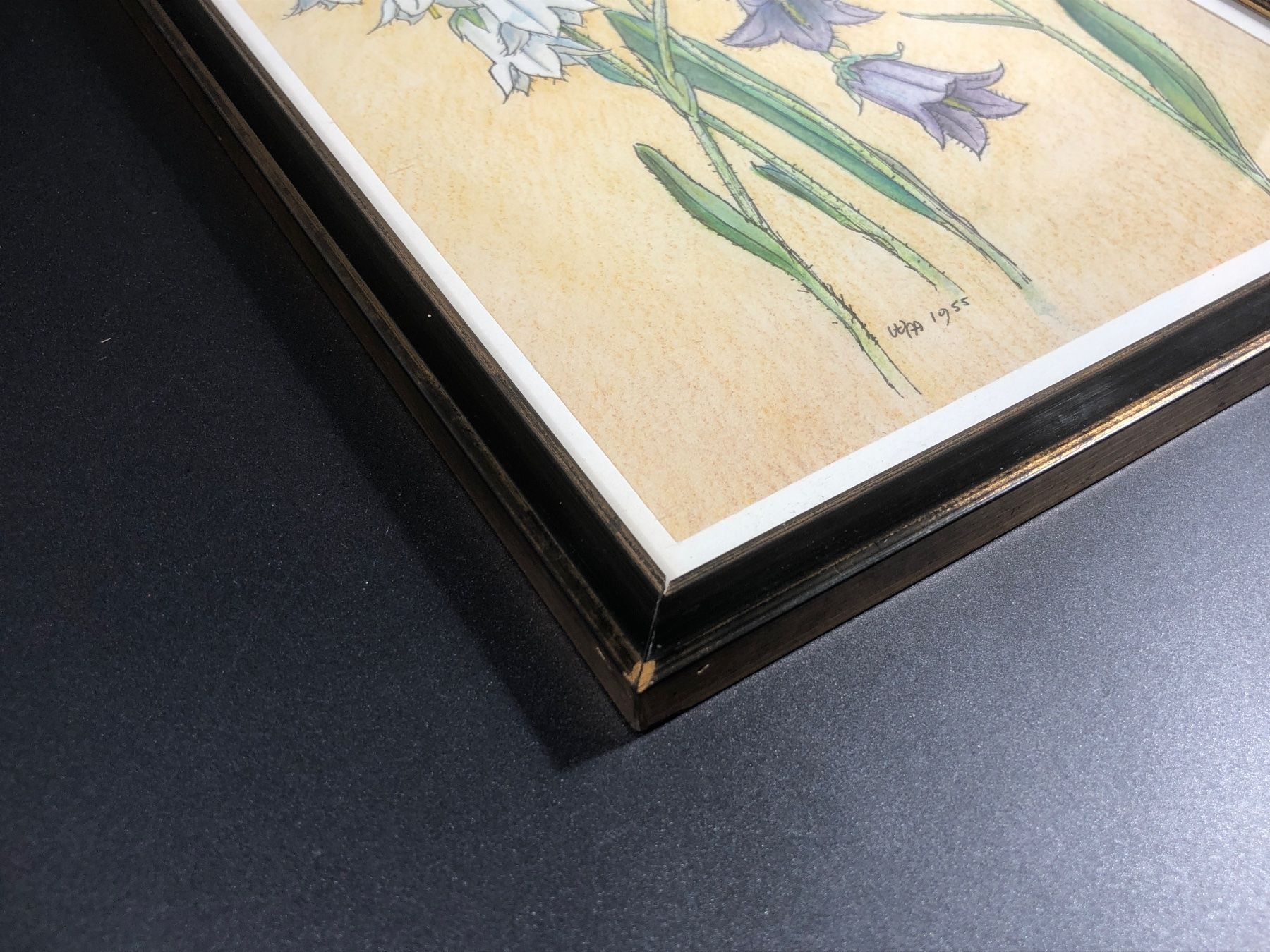 Gemälde: ⭐Bild Floral Willi Minder 1955 – Gebraucht aus Arisdorf von Liquidus 4