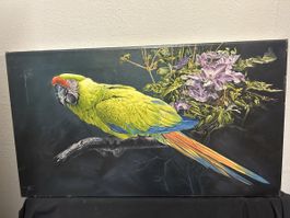 Farbenfroher Kunstdruck eines Aras – 69 x 40 cm –