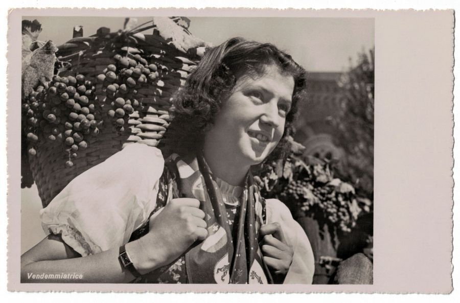 Ansichtskarten: Ticino, vendemmiatrice verso 1940 – Gebraucht aus Frauenfeld von POML