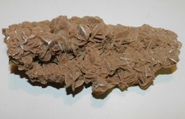 Sandrose original Dekoration Stein Fossil   16 cm lang 8 cm