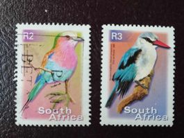 Vogel - Suedafrika