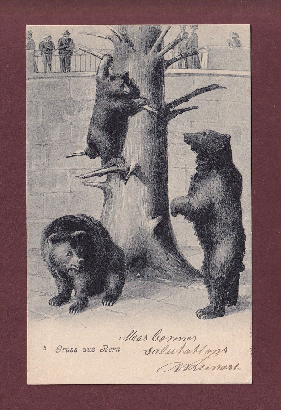 Cartoline postali: BERN - Bärengraben - 1906 // kleiner Eckbug // – Usato da Pully venduto da nicecards