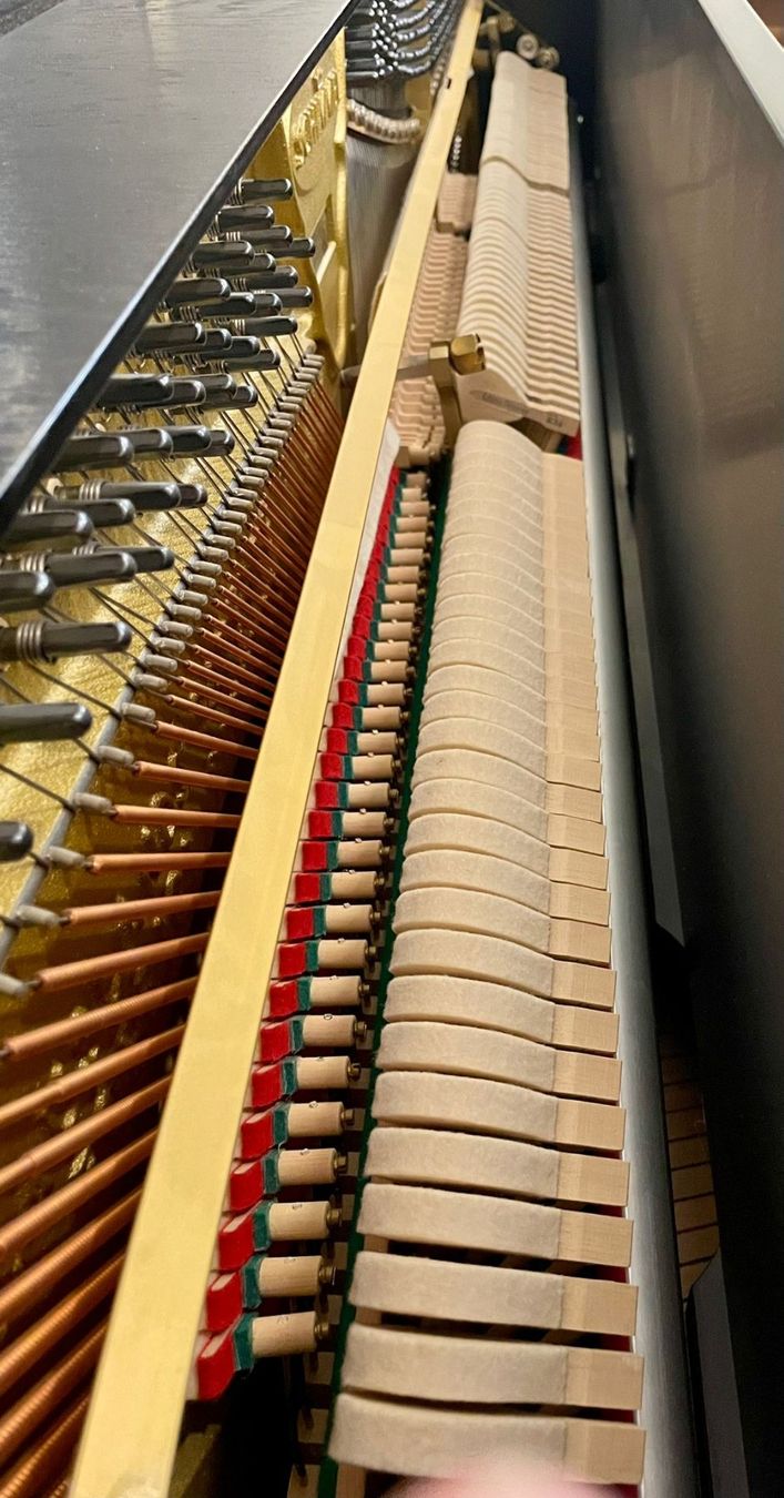 Strumenti musicali: Piano Schimmel C116 Occasion – Usato da Aarau venduto da MusikhausZNAarau 5