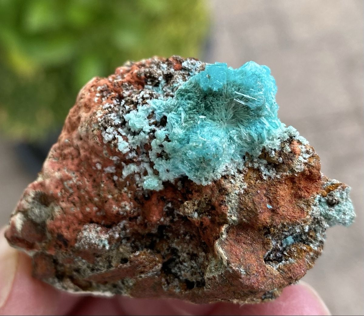 Mineralien & Heilsteine: Super Aurichalicit Mapimi Mexico  – Gebraucht aus Selzach von 321compac 6