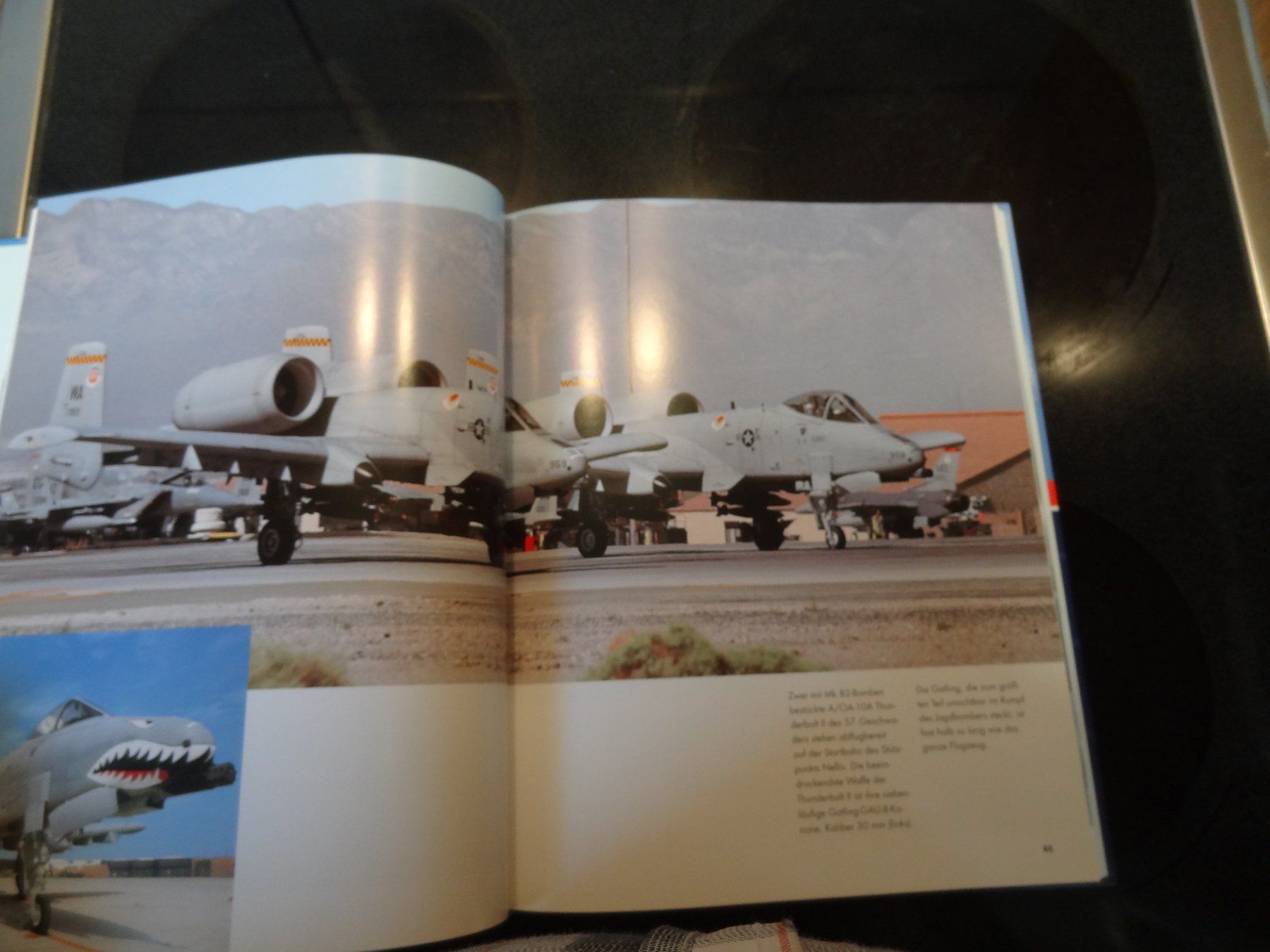 Libri: American Eagles Buch neuwertig – Usato da Bennau venduto da brummel03 4