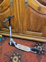 Scooter für Erwachsene