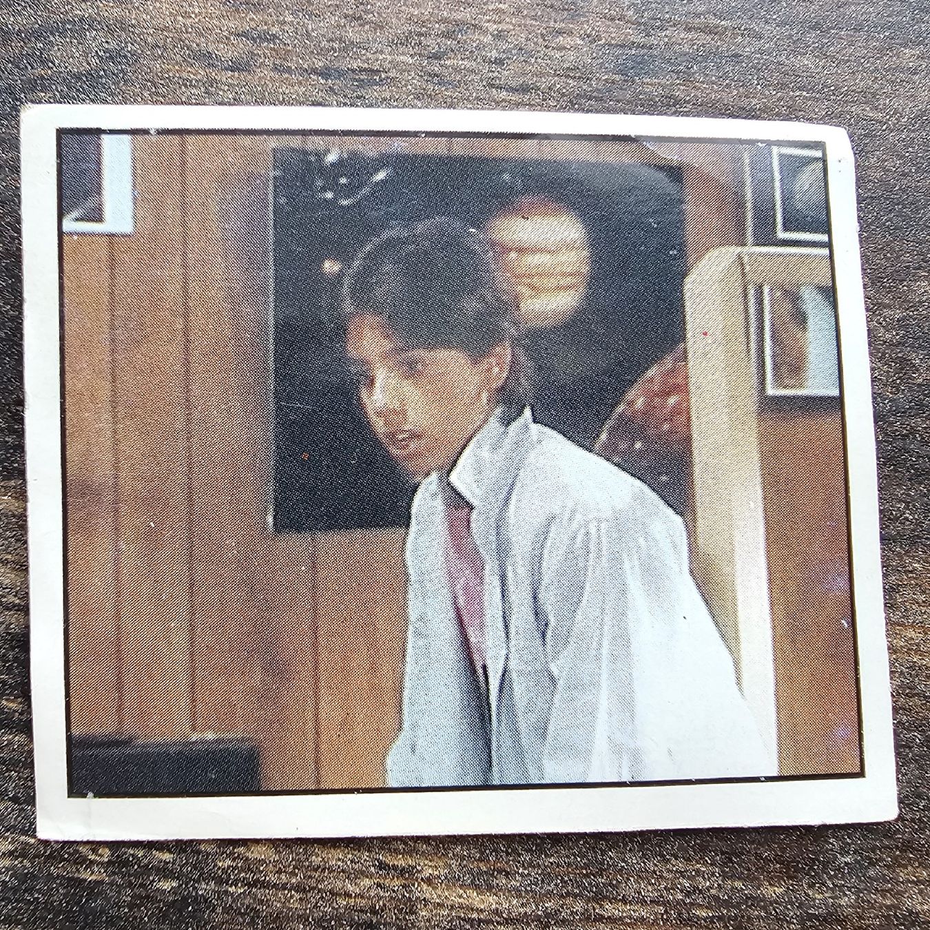 Panini Carte collezionabili: Panini Sammelbild ALF 1989 – Nuovo (secondo la descrizione) da Eiken venduto da Geli_212