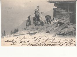 Alp 1901