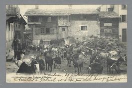 1903, SALVAN, LE DÉPART DES CHÈVRES, TRÈS ANIMÉE