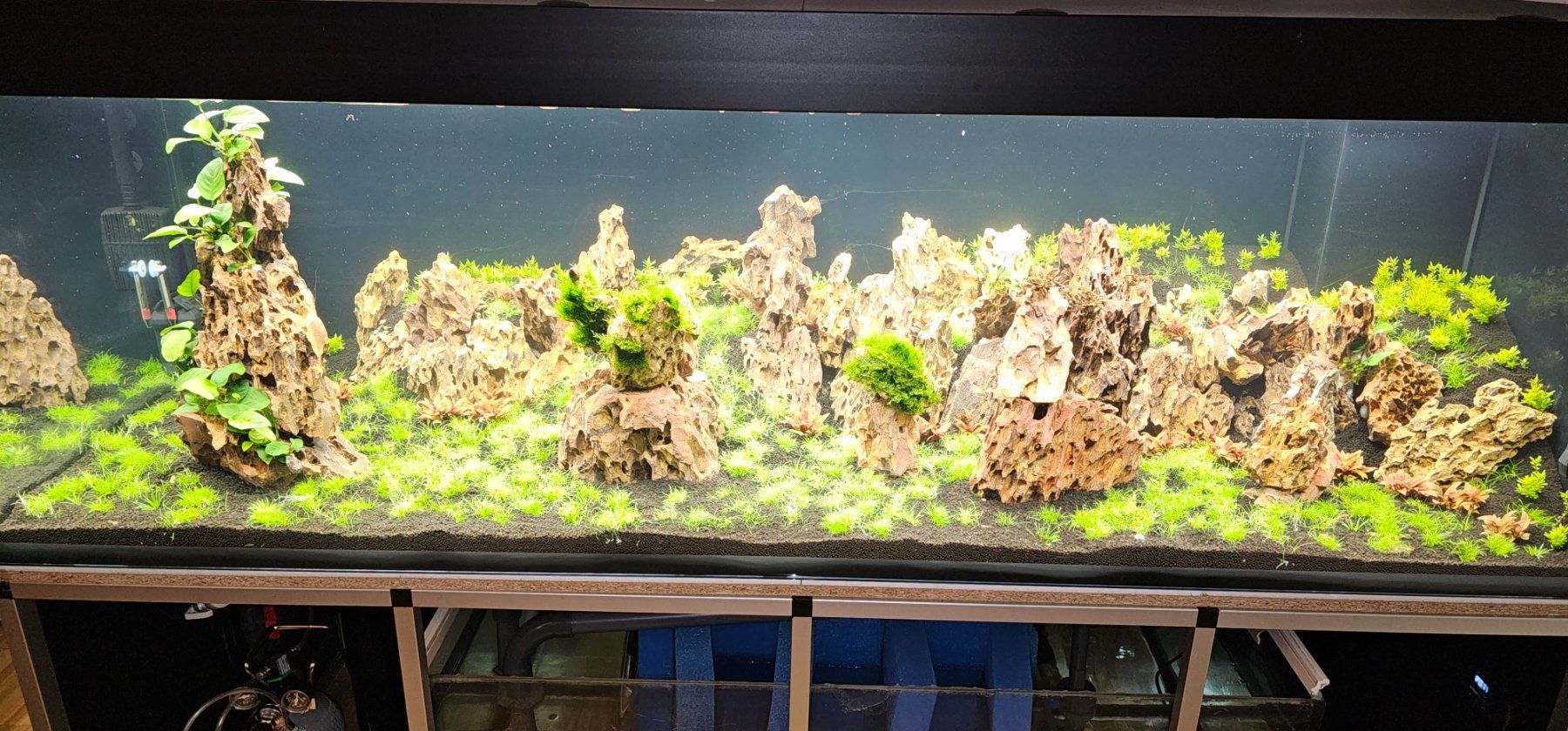 Aquarium: 960-Liter Aquarium Komplettset – D'occasion à Schaffhausen par Meerwasser76 3