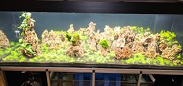 960-Liter Aquarium Komplettset