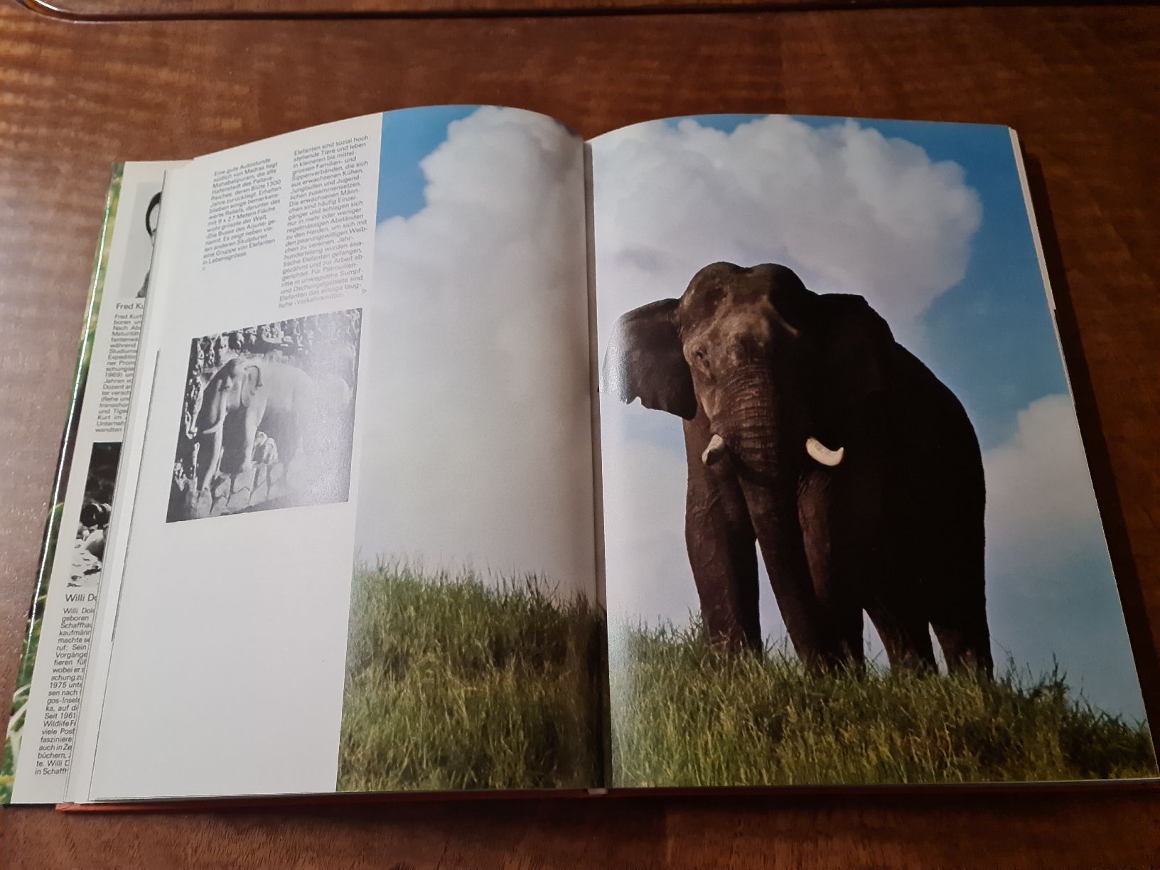 Libri: Zoo Indien – Usato da Erstfeld venduto da Uhu1980 3