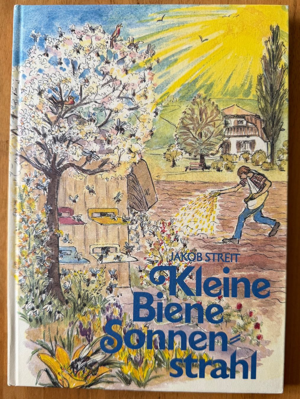 Libri: Bilderbuch. KLEINE BIENE SONNENSTRAHL – Usato da Starrkirch-Wil venduto da heidiml