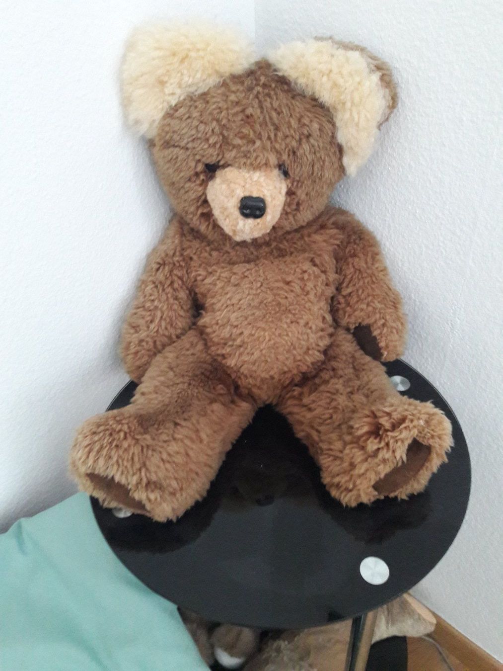 Puppen: TeddyBär – Neu (gemäss Beschreibung) aus Zollikerberg von Kaugo