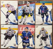 Sportzoo 25/26 - HC Fribourg-Gottéron