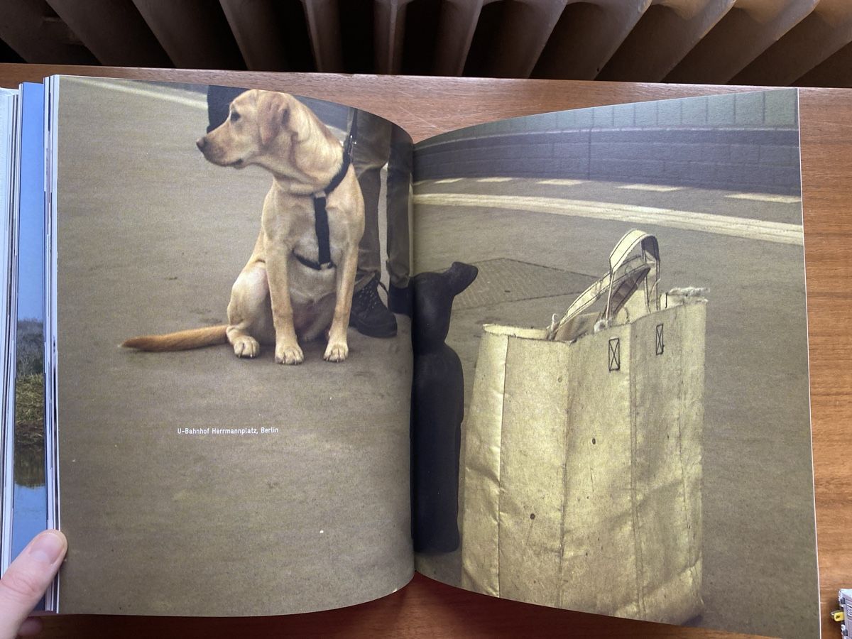 Libri: nina staehli: And Ruby Dean – Usato da Zürich venduto da ann_9fv5 1
