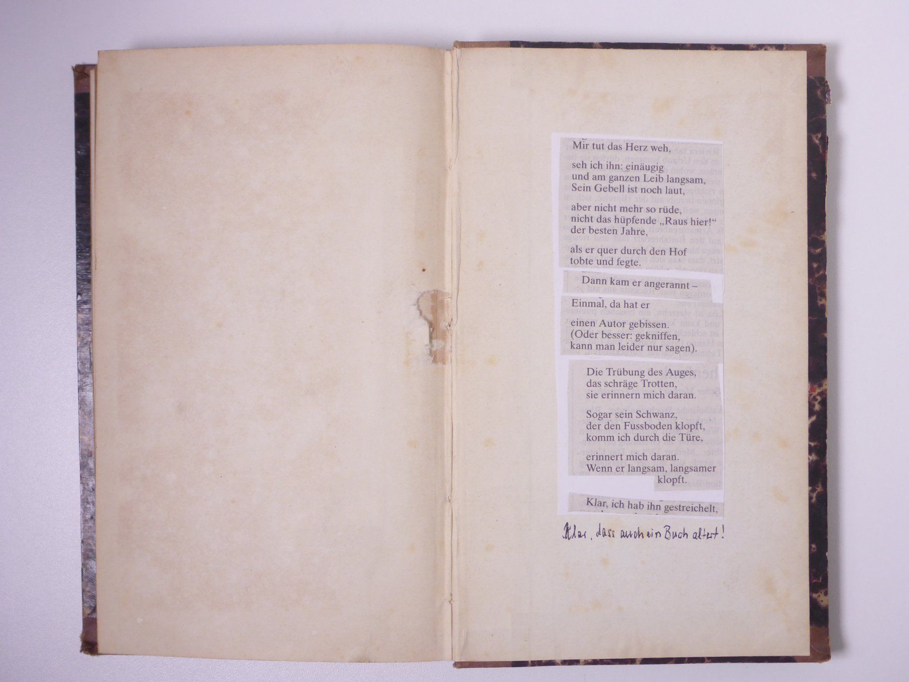 Libri: Friedrich Oswald: Der Vorstehhund. 1855. – Usato da Erschwil venduto da taglang 7