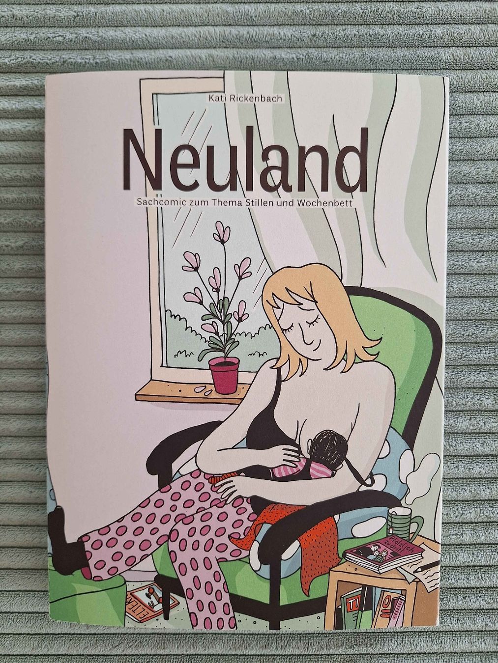 Libri: Neuland Sachcomic von Kati Rickenbach – Usato da Engelburg venduto da ellehcim25